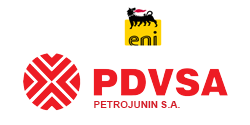 8. Logo PetroJunin S.A